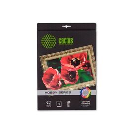  Холст Cactus CS-CA426010 A4/260г/м2/10л для струйной печати 