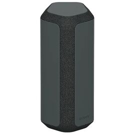  Беспроводная колонка Sony SRS-XE300 черный 