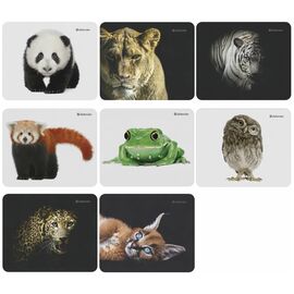  Коврик для мыши Defender Wild Animals 50803 (8видов) 