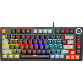  Клавиатура DEFENDER Wildfire GK-213 45213, черно/серый 