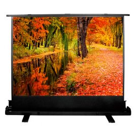  Экран Cactus 150x200см FloorExpert CS-PSFLE-200X150 4:3 напольный рулонный 