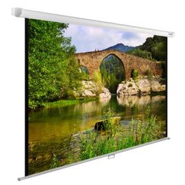  Экран Cactus 165x220см WallExpert CS-PSWE-220x165-WT 4:3 настенно-потолочный рулонный белый 