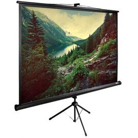  Экран Cactus 220x220см TriExpert CS-PSTE-220x220-BK 1:1 напольный рулонный черный 