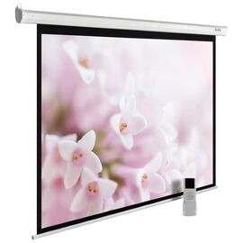  Экран Cactus 220x220см MotoExpert CS-PSME-220x220-WT 1:1 настенно-потолочный рулонный белый (моторизованный привод) 