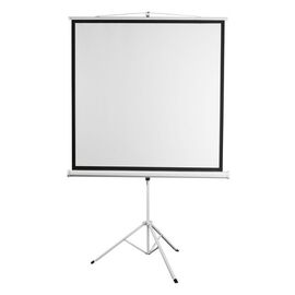  Экран 172x172см Digis Kontur-D DSKD-1104 1:1 напольный рулонный 