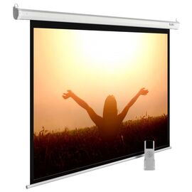 Экран Cactus 165x220см MotoExpert CS-PSME-220x165-WT 4:3 настенно-потолочный рулонный белый (моторизованный привод) 