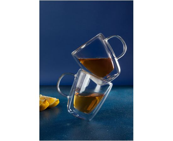  Набор Zeidan Z-1015 из двух стеклянных чашек с двойными стенками 280мл. 