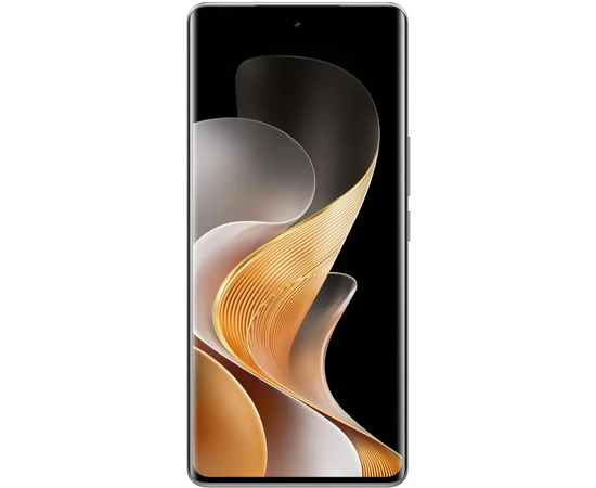  Смартфон VIVO V40 12/256GB Титановый серебристый 