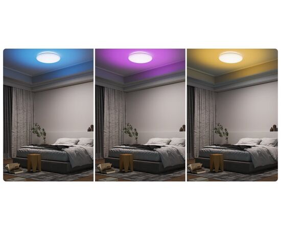  Светильник Xiaomi Yeelight Arwen Ceiling Light 450C White YLXD013-B EU 