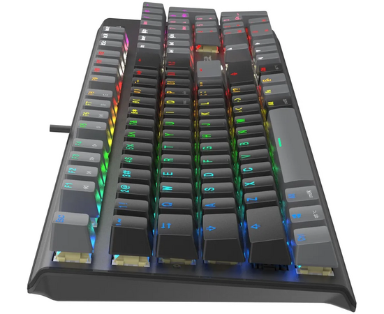  Клавиатура A4Tech Fstyler FS100 Neon механическая черный USB for gamer LED (FS100) 
