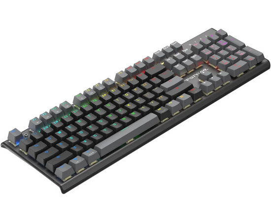  Клавиатура A4Tech Fstyler FS100 Neon механическая черный USB for gamer LED (FS100) 