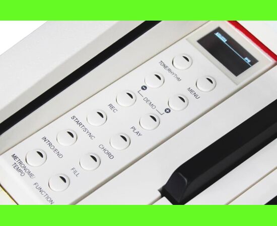  Цифровое фортепиано Solista DP200WA 