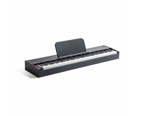  Цифровое пианино TESLER STZ-8805 Black 