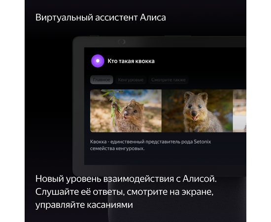  Умная колонка ЯНДЕКС Станция Дуо Макс YNDX-00055GRN Zigbee Алиса зеленый 