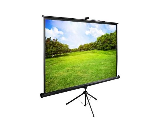  Экран Cactus 150x200см TriExpert CS-PSTE-200x150-BK 4:3 напольный рулонный черный 