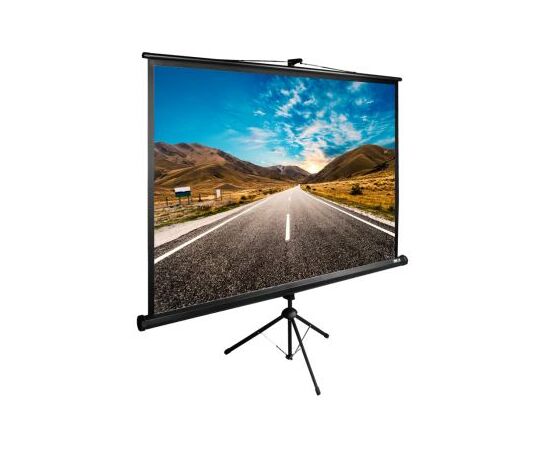  Экран Cactus 160x160см TriExpert CS-PSTE-160x160-BK 1:1 напольный рулонный черный 