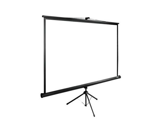  Экран Cactus 160x160см TriExpert CS-PSTE-160x160-BK 1:1 напольный рулонный черный 