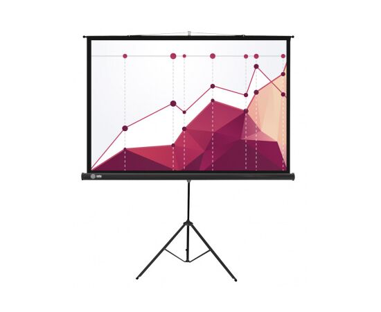  Экран Cactus 180x180см Triscreen CS-PST-180x180 1:1 напольный рулонный белый 