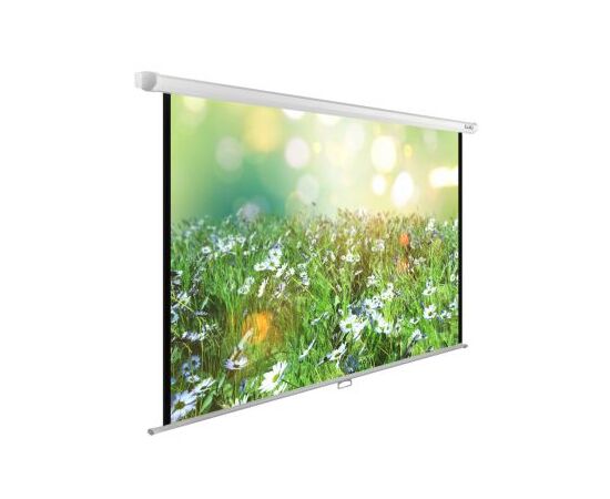  Экран Cactus 200x200см WallExpert CS-PSWE-200x200-WT 1:1 настенно-потолочный рулонный 