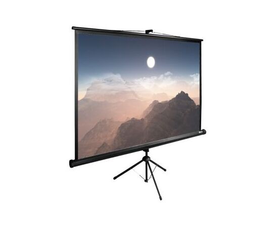  Экран Cactus 180x180см TriExpert CS-PSTE-180x180-BK 1:1 напольный рулонный черный 