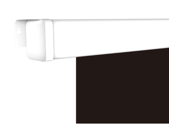  Экран Lumien Master Picture CSR (LMP-100109CSR) White 
